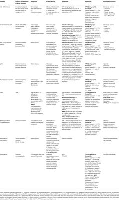 Glomerulonephritis in AKI: From Pathogenesis to Therapeutic Intervention